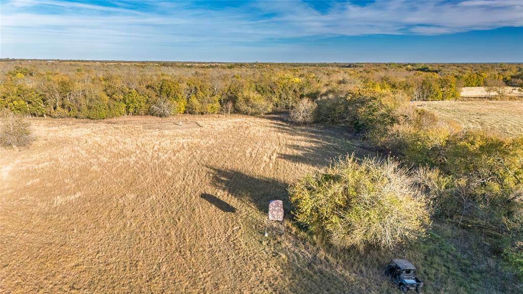 Jane Doak Surv Abs #242 - Land