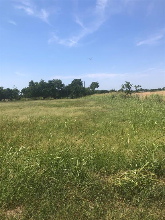 Jane Doak Surv Abs #242 - Land