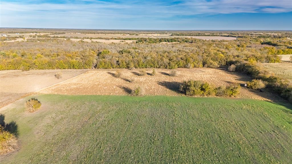 Jane Doak Surv Abs #242 - Land