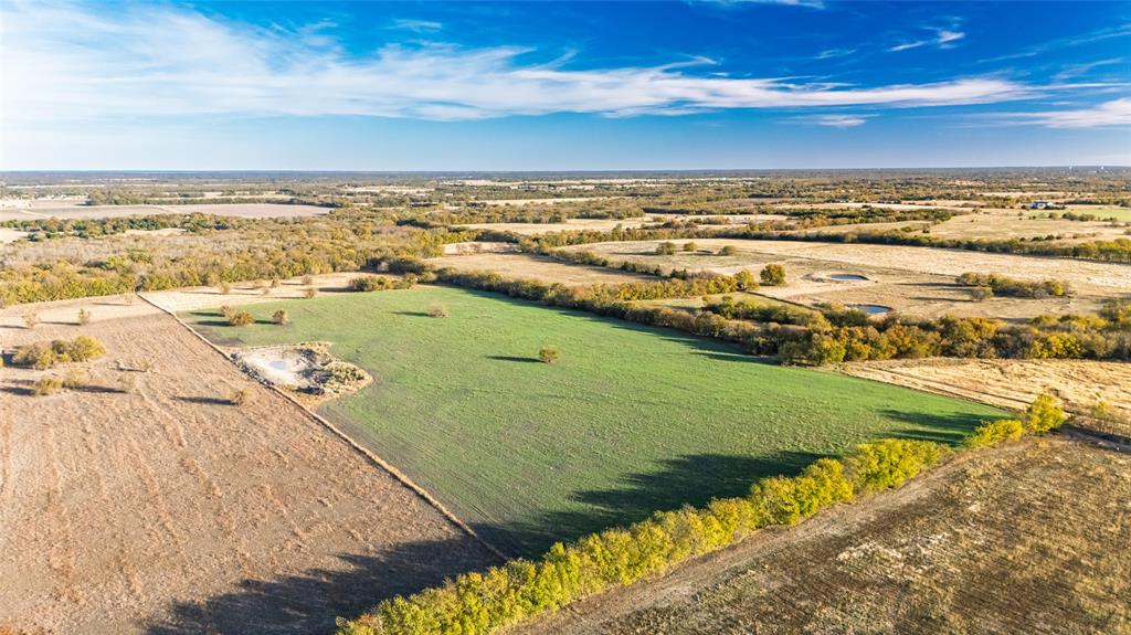 Jane Doak Surv Abs #242 - Land