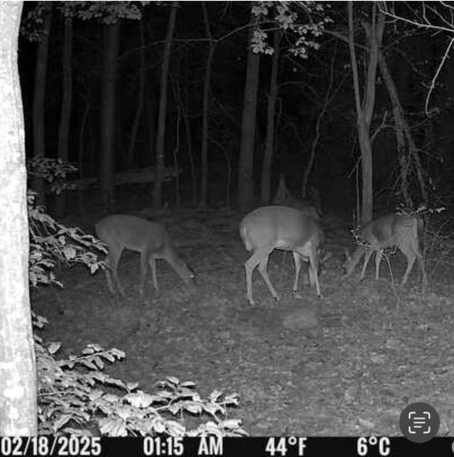 562 County Road 4430