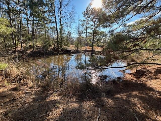 562 County Road 4430