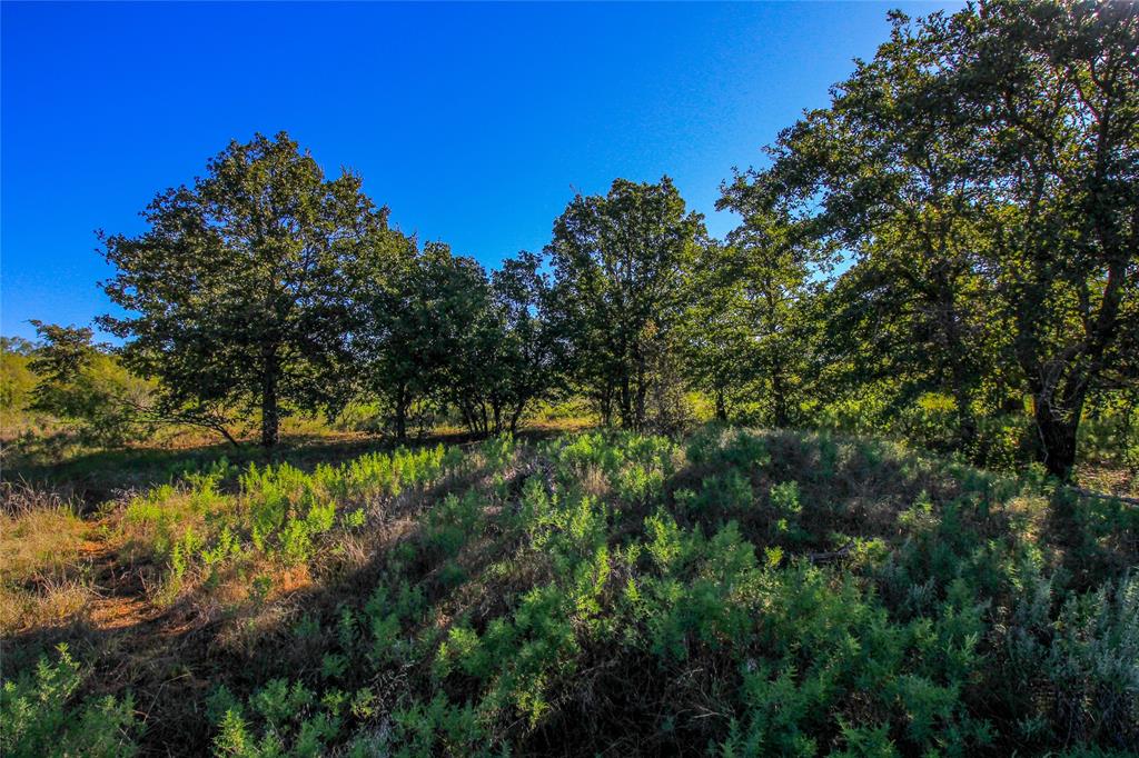 TBD TX HWY 114