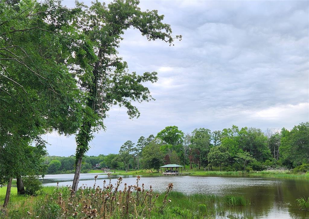 Safari Waters Ranch - Land