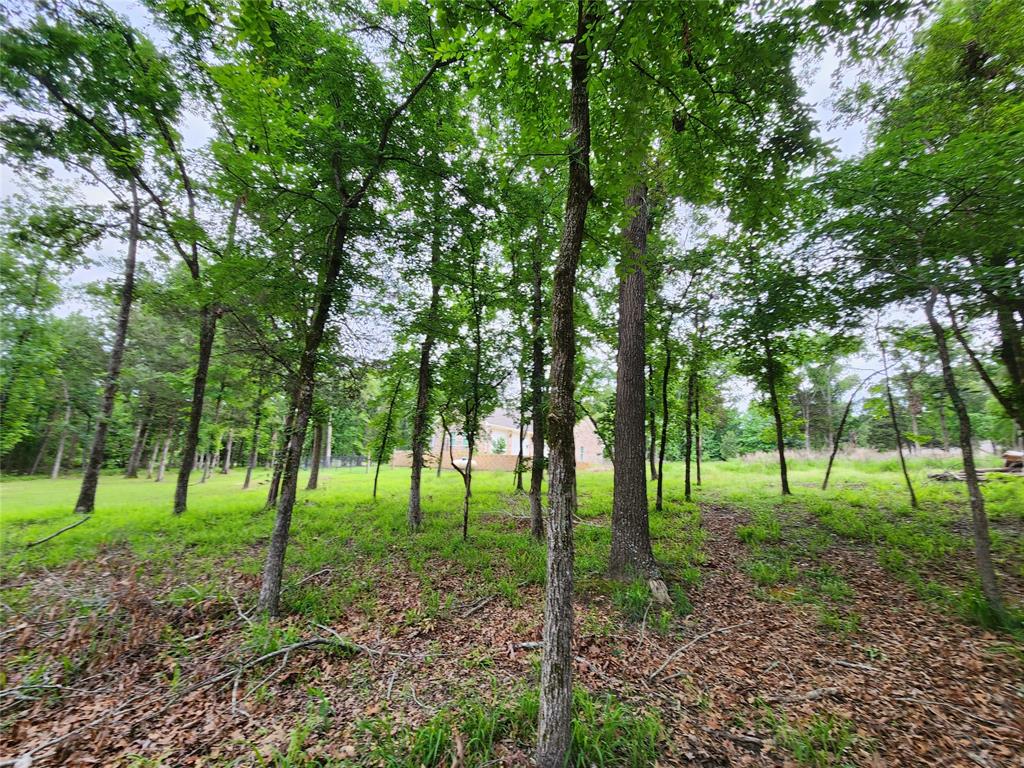 Safari Waters Ranch - Land