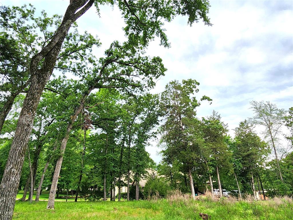 Safari Waters Ranch - Land