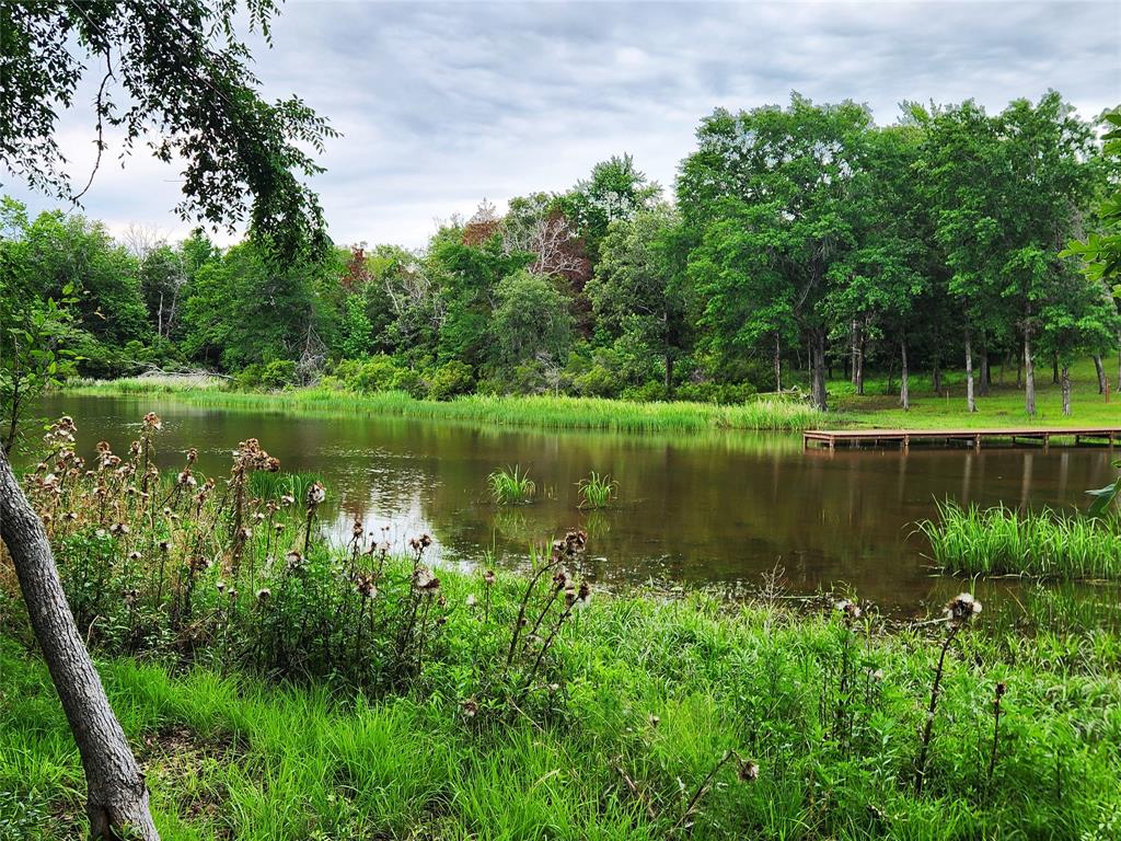 Safari Waters Ranch - Land