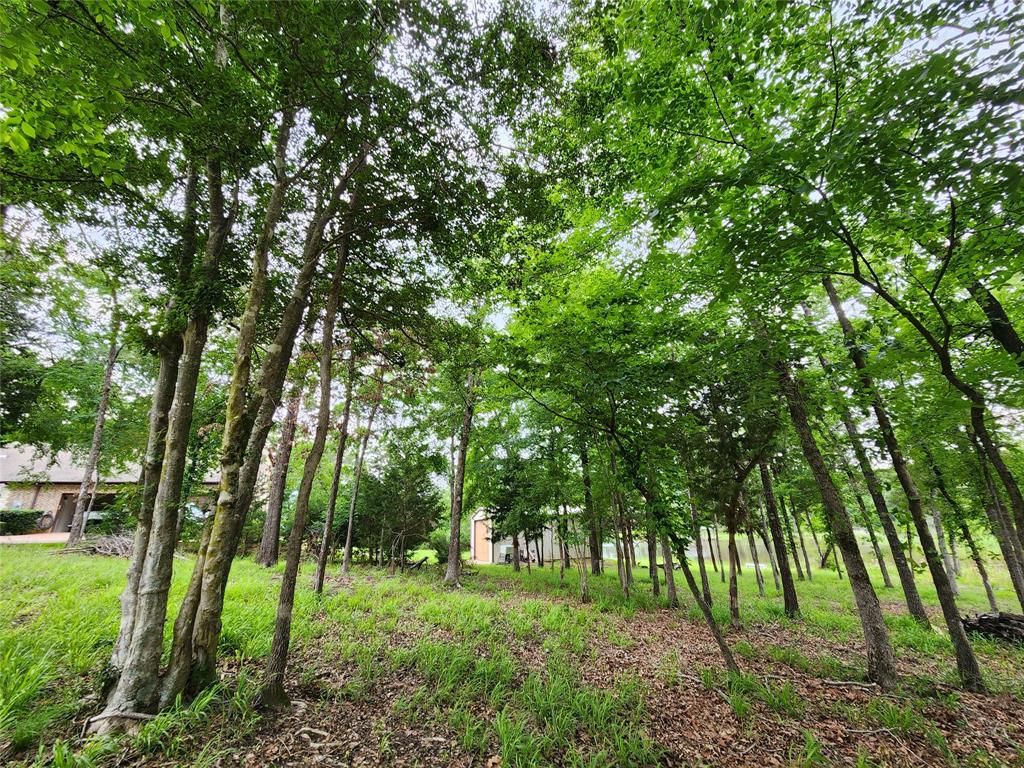 Safari Waters Ranch - Land