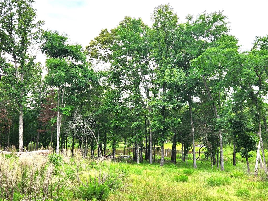 Safari Waters Ranch - Land