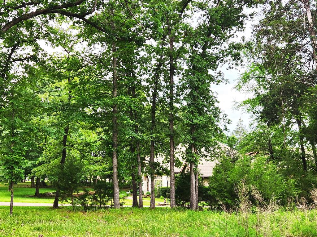 Safari Waters Ranch - Land