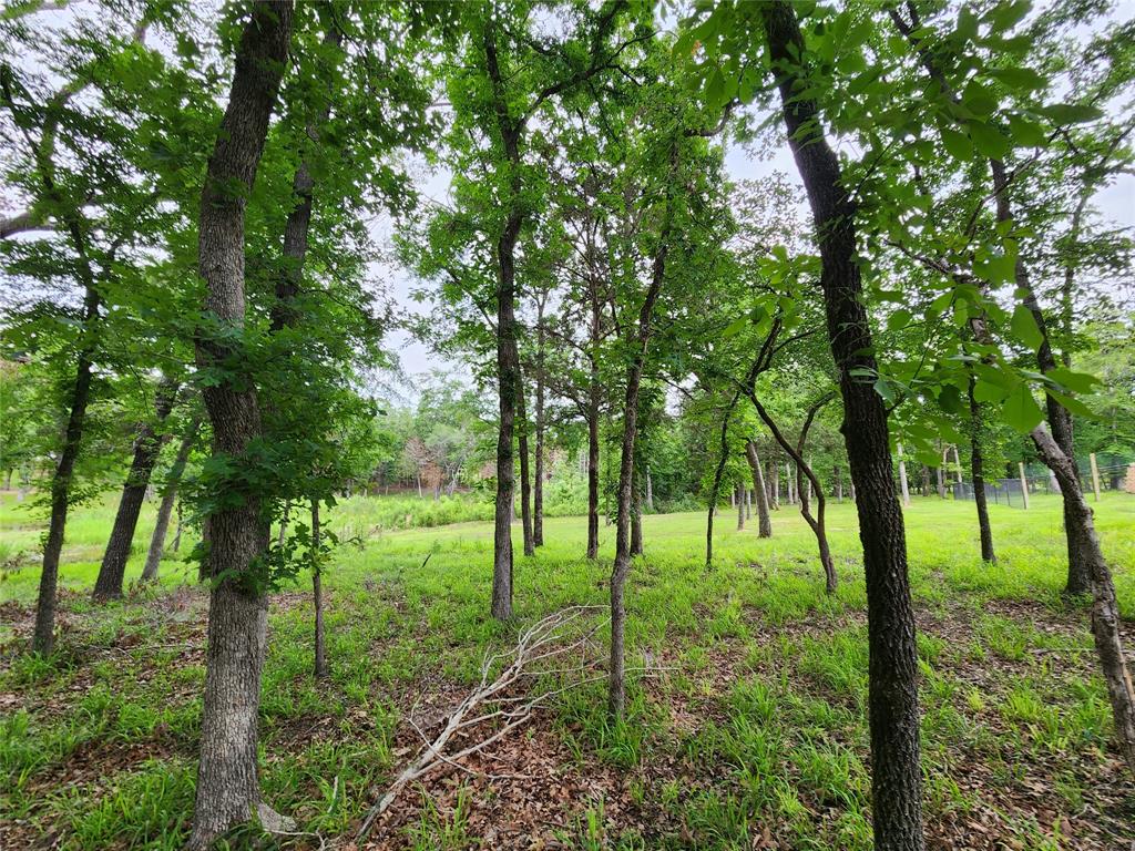 Safari Waters Ranch - Land