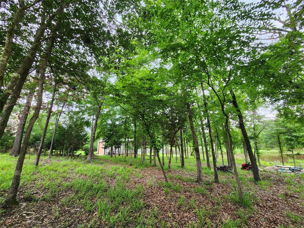 Safari Waters Ranch - Land