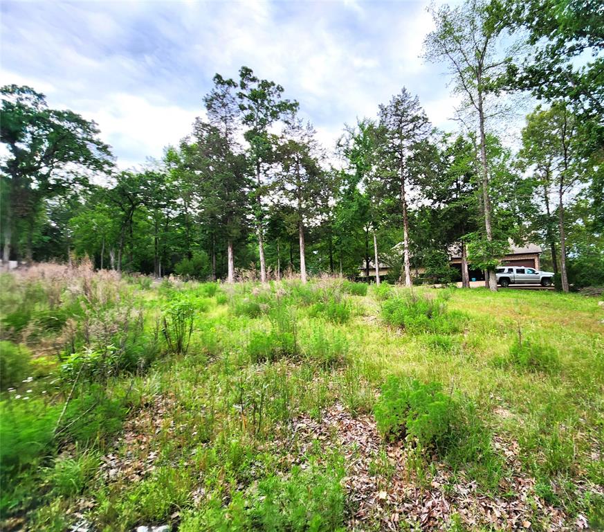 Safari Waters Ranch - Land