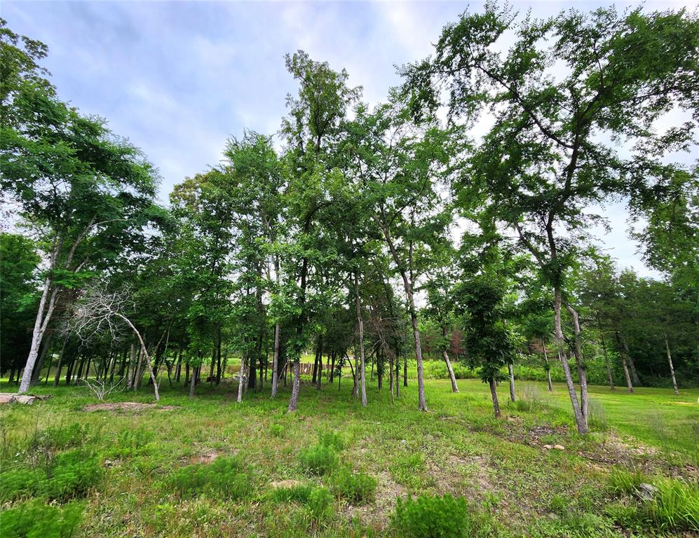 Safari Waters Ranch - Land