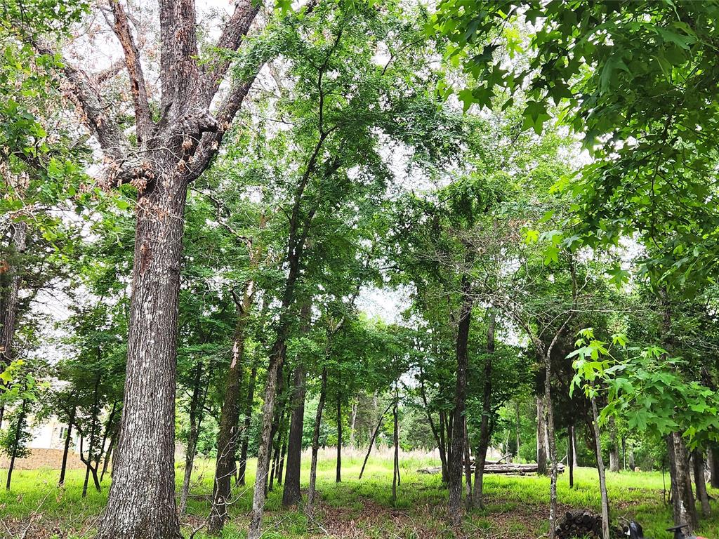 Safari Waters Ranch - Land