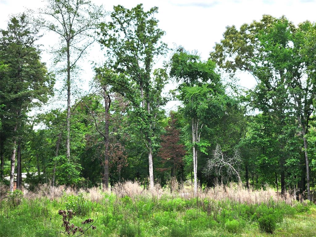 Safari Waters Ranch - Land