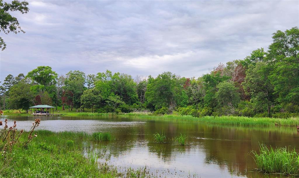 Safari Waters Ranch - Land