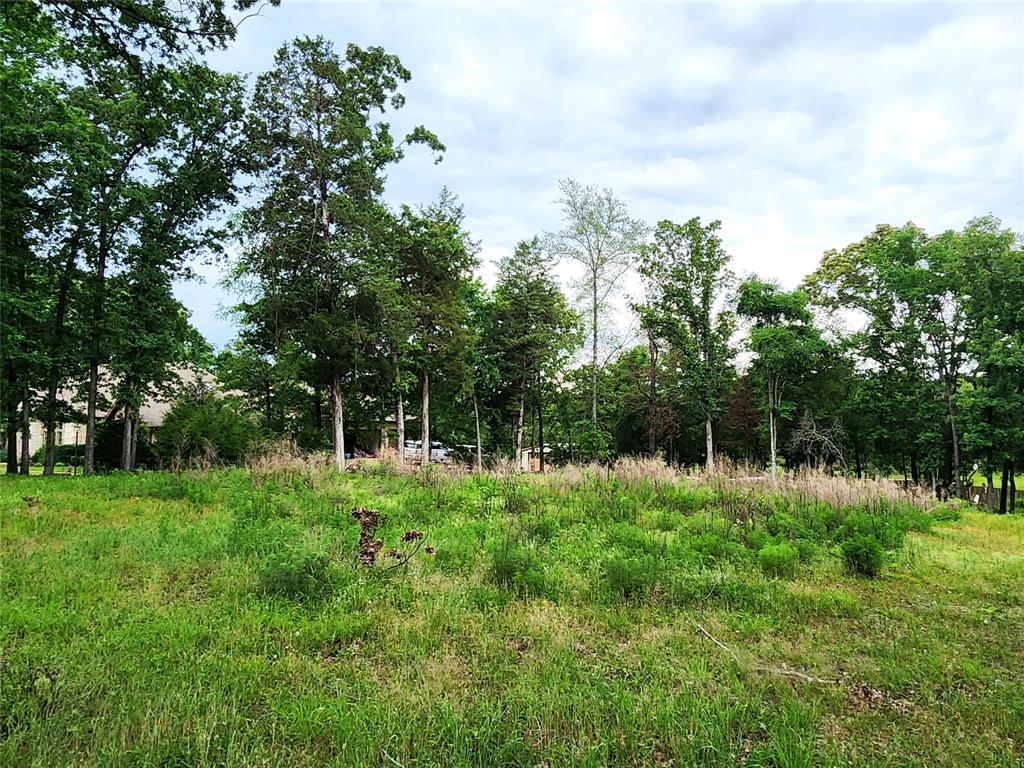 Safari Waters Ranch - Land