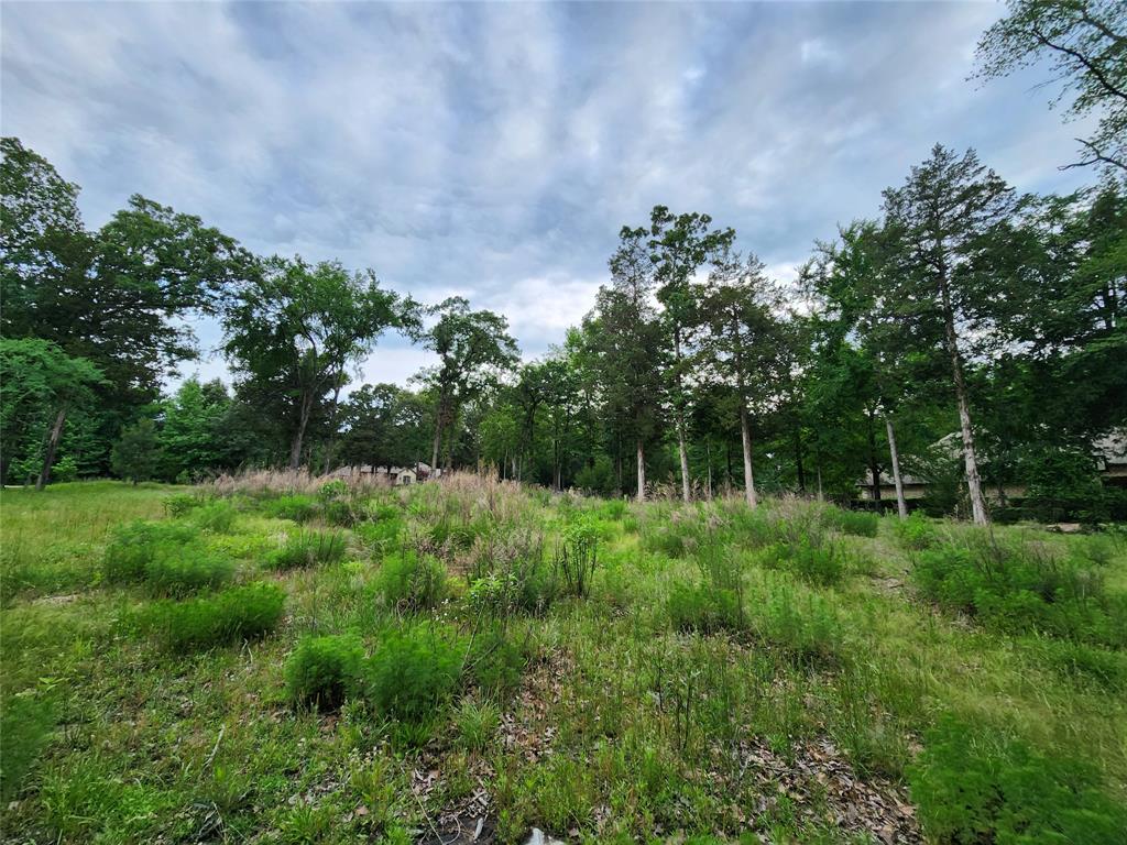 Safari Waters Ranch - Land