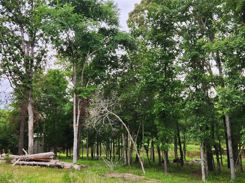 Safari Waters Ranch - Land