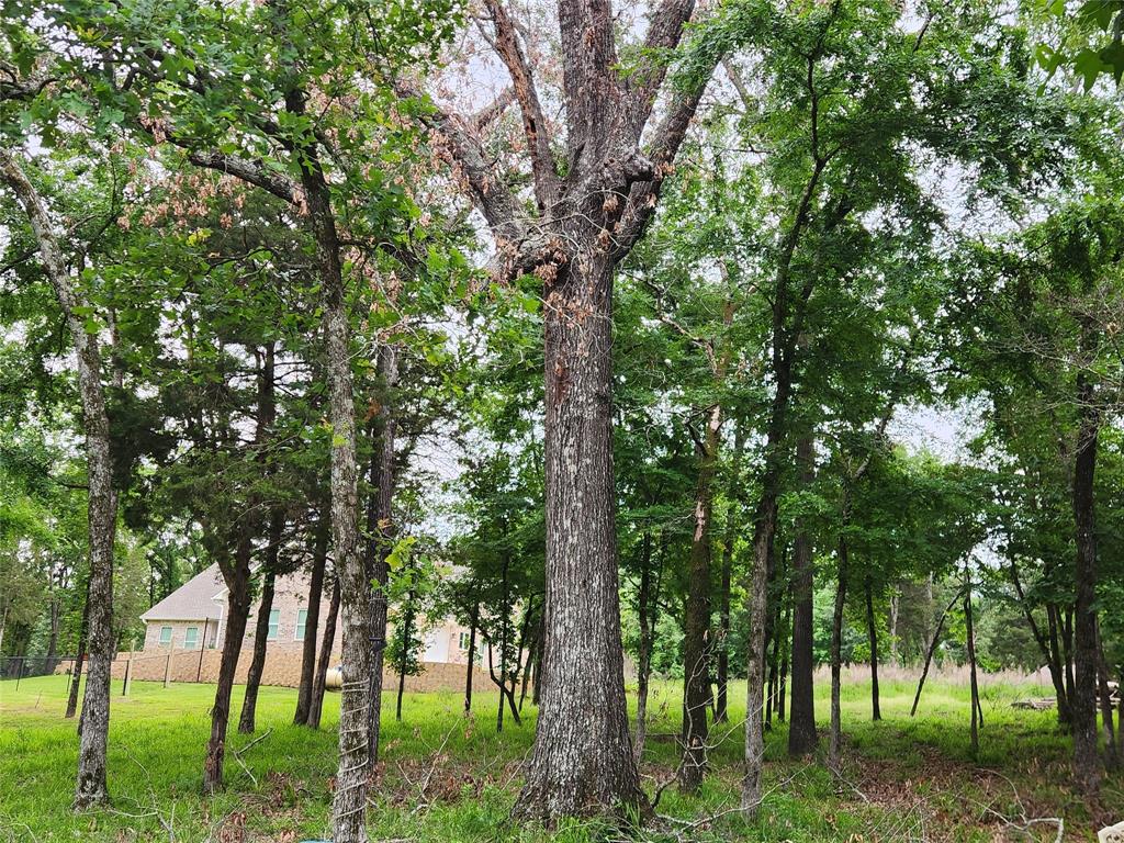 Safari Waters Ranch - Land