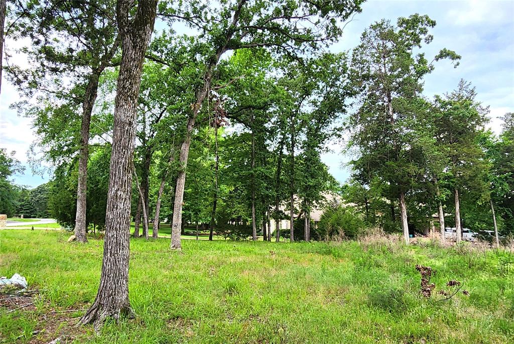 Safari Waters Ranch - Land