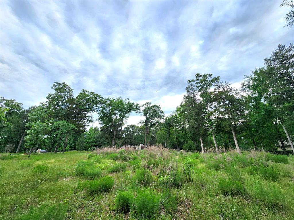 Safari Waters Ranch - Land