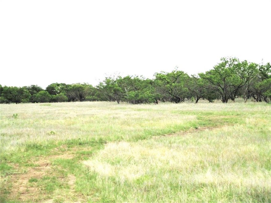 19.73  acres.Are you ready for some peace and quiet and stars at night? These beautiful tracts of land in the middle of big ranch country are the perfect place to raise the kids and cows with plenty of elbow room to roam. NO HOA, NO city taxes, just some great views of the Texas countryside with minimal restrictions.Property under ag for low taxes. Open areas with scattered Mature mesquite and some oak trees make for a beautiful setting for that new home Co-op electric up front and water wells in area good. Several tracts to choose from so better hurry! Possible owner finance!