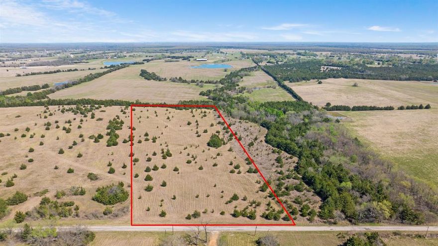 Looking for the perfect place to build your dream home? This beautiful 6.75± acre tract offers the ideal blend of privacy, space, and convenience. Located just off FM 195 on CR 43380, you’ll enjoy a peaceful country setting while still being only minutes from the Loop.

This property provides plenty of room for your custom home, shop, or outdoor living space—giving you the freedom to create exactly what you’ve been envisioning. Light deed restrictions will be put in place to help protect your investment while still allowing flexibility for your plans.

Whether you're ready to build now or looking for a smart land investment, this tract offers endless potential in a great location. Bring your home plans and turn this property into your own private retreat!