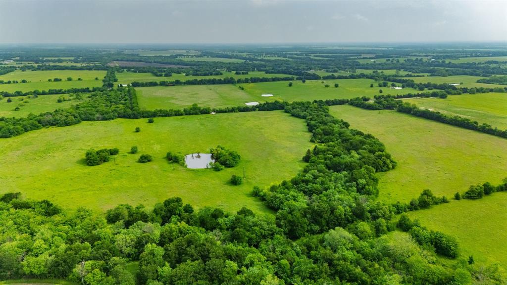 Thomas Hanks Surv Abst #408 - Land