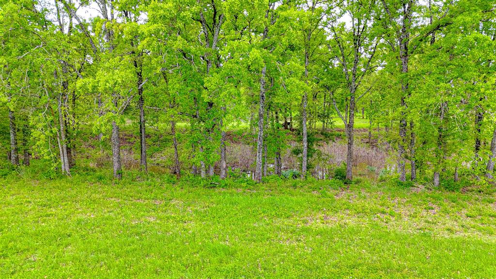 Admiral Shores - Land