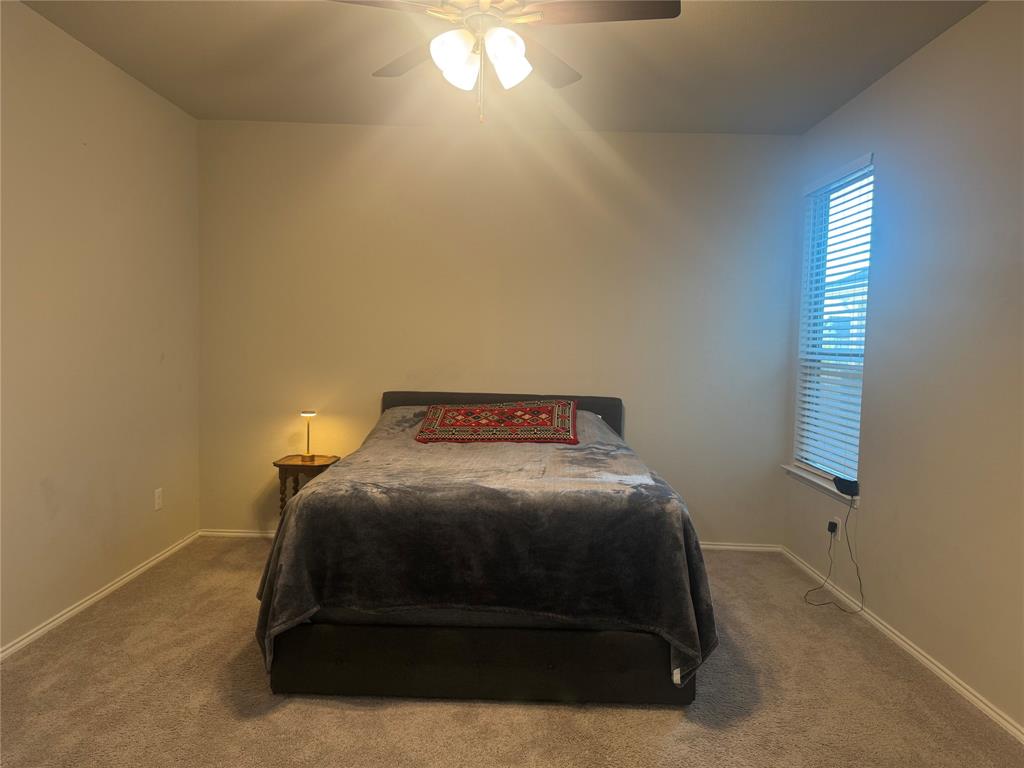 Palmilla Springs - Residential