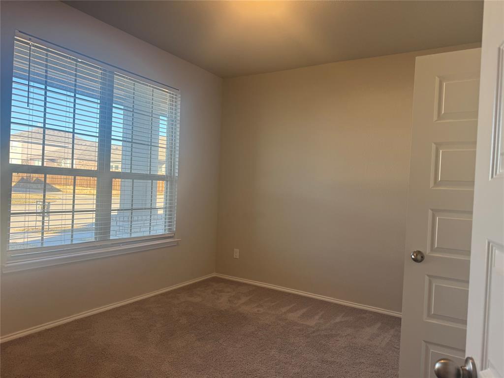 Palmilla Springs - Residential