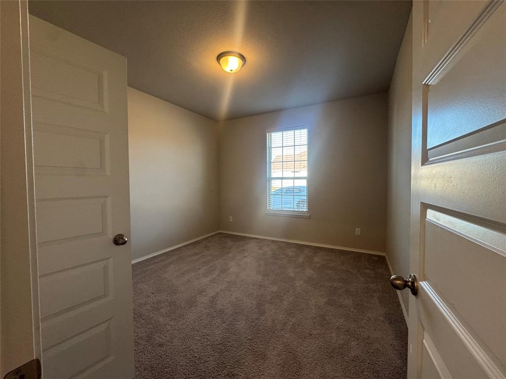 Palmilla Springs - Residential