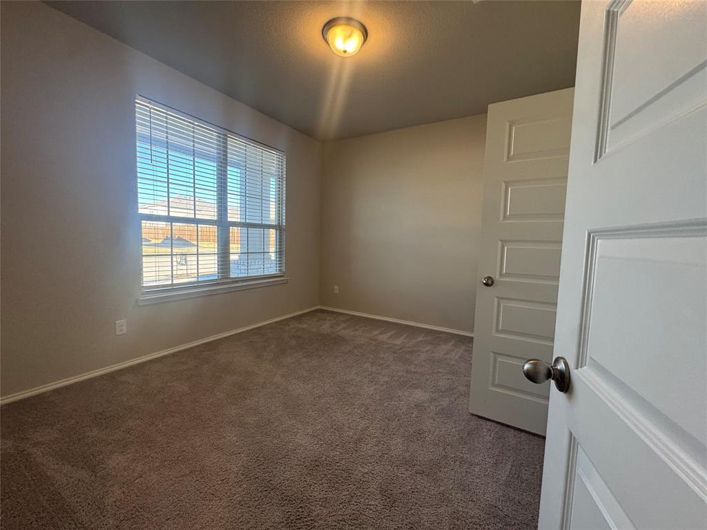 Palmilla Springs - Residential