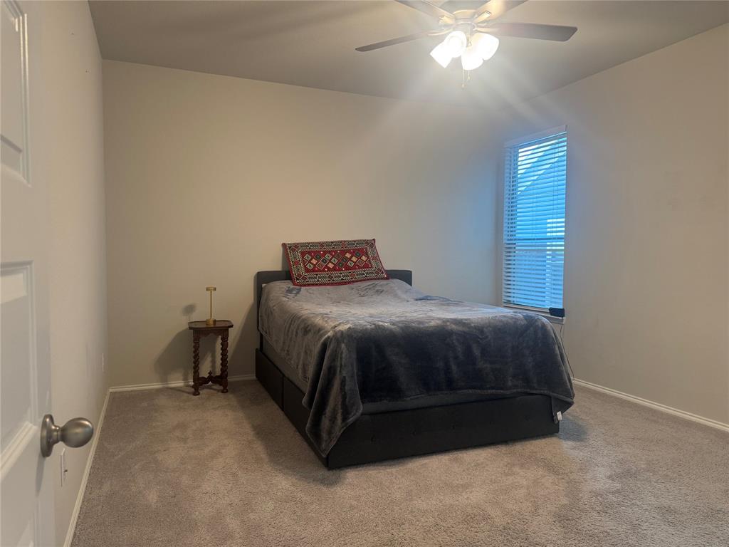 Palmilla Springs - Residential