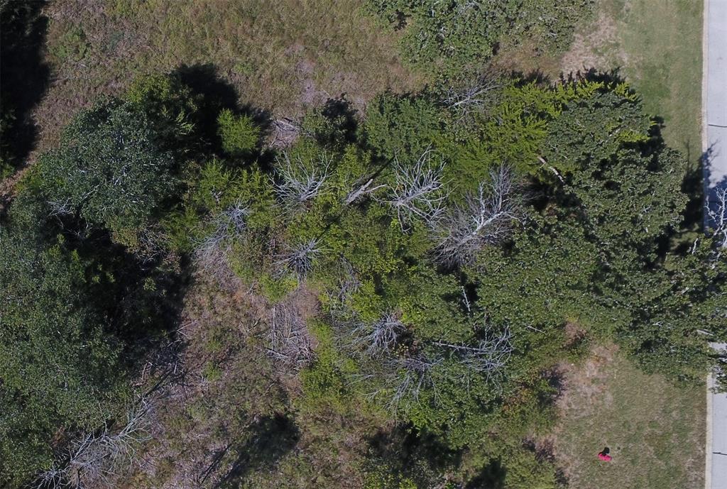 Palmilla Addn Phase 1 - Land