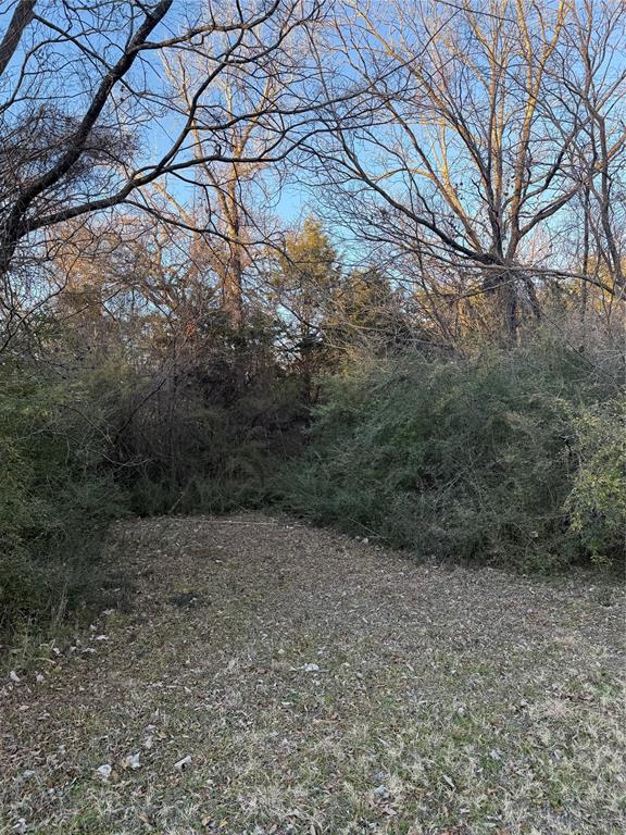 Tr 1 Abstract 8768 - Land