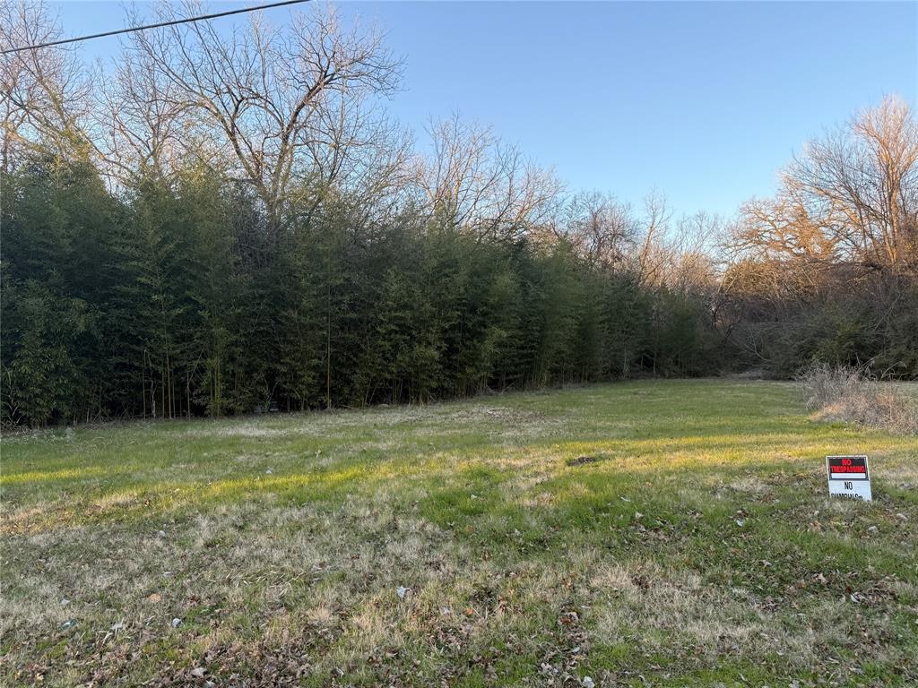 Tr 1 Abstract 8768 - Land