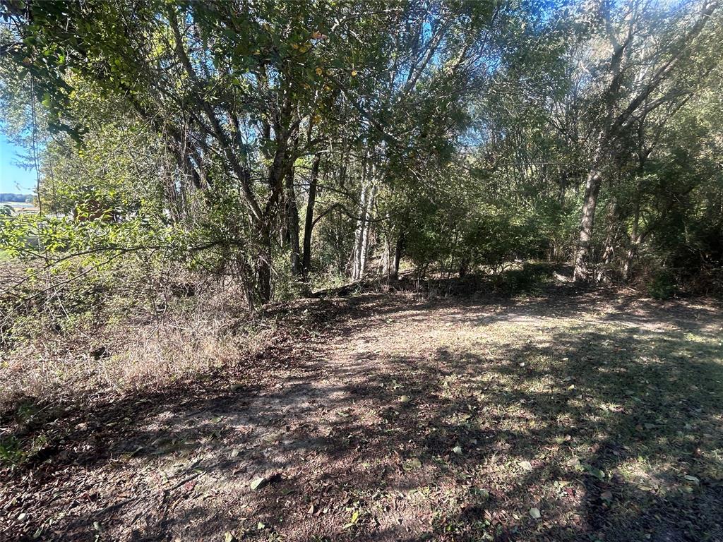 Hidden Acres Estate - Land