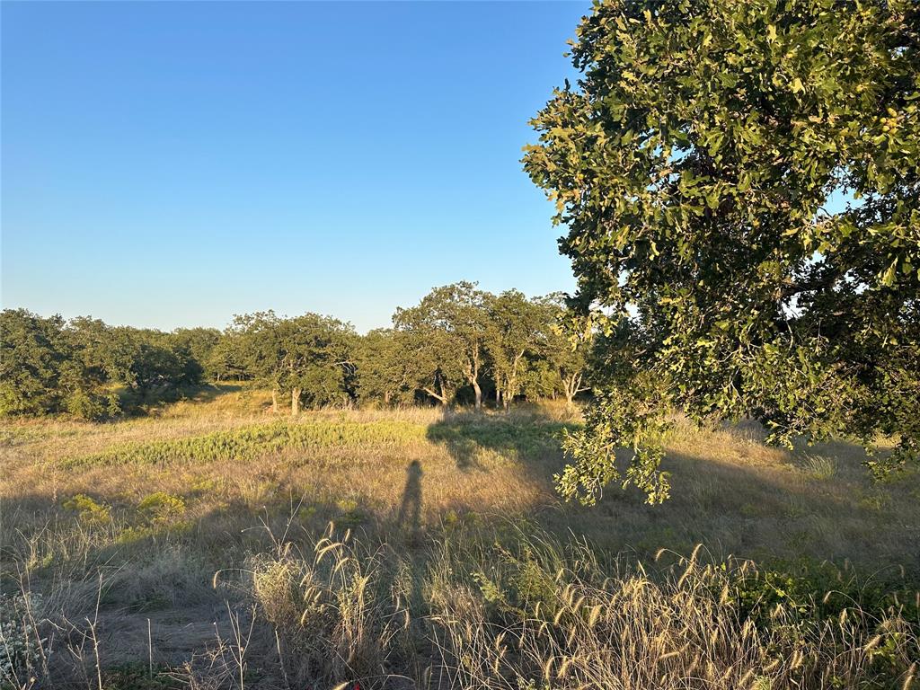 Mesquite Ridge Esates - Land