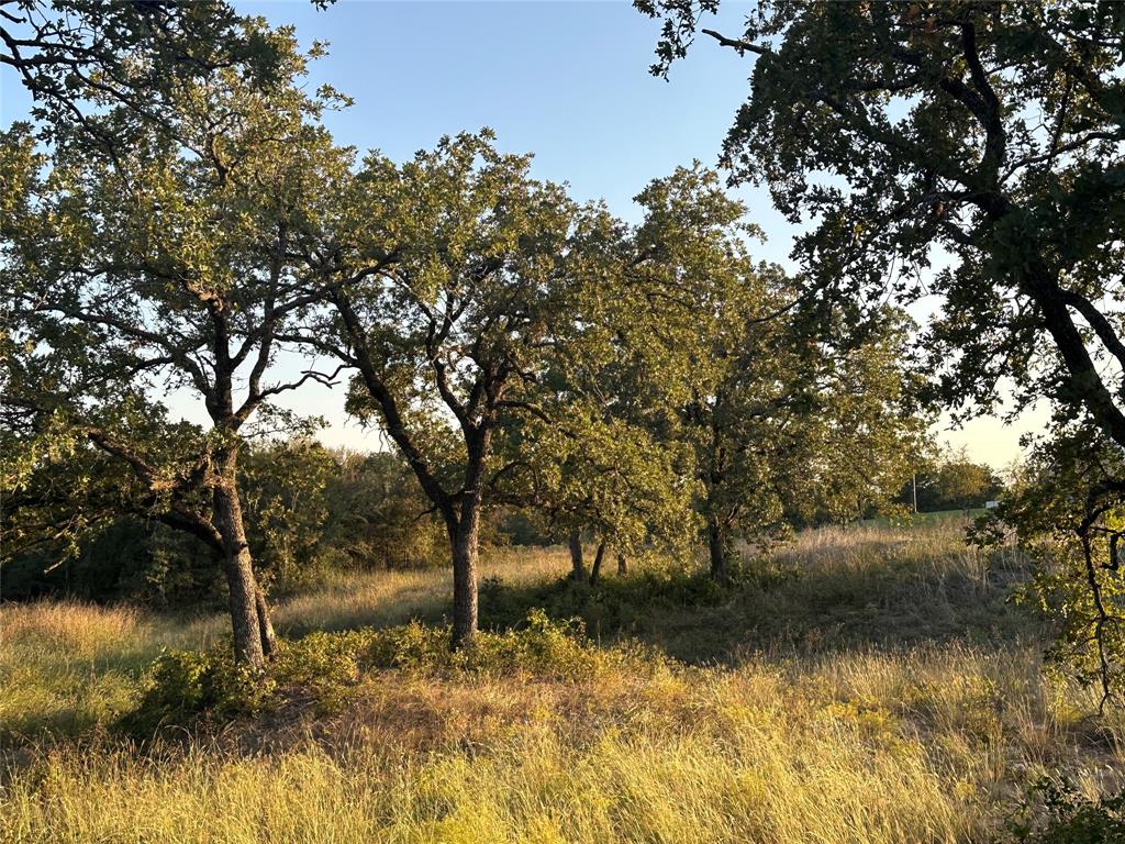 Mesquite Ridge Esates - Land
