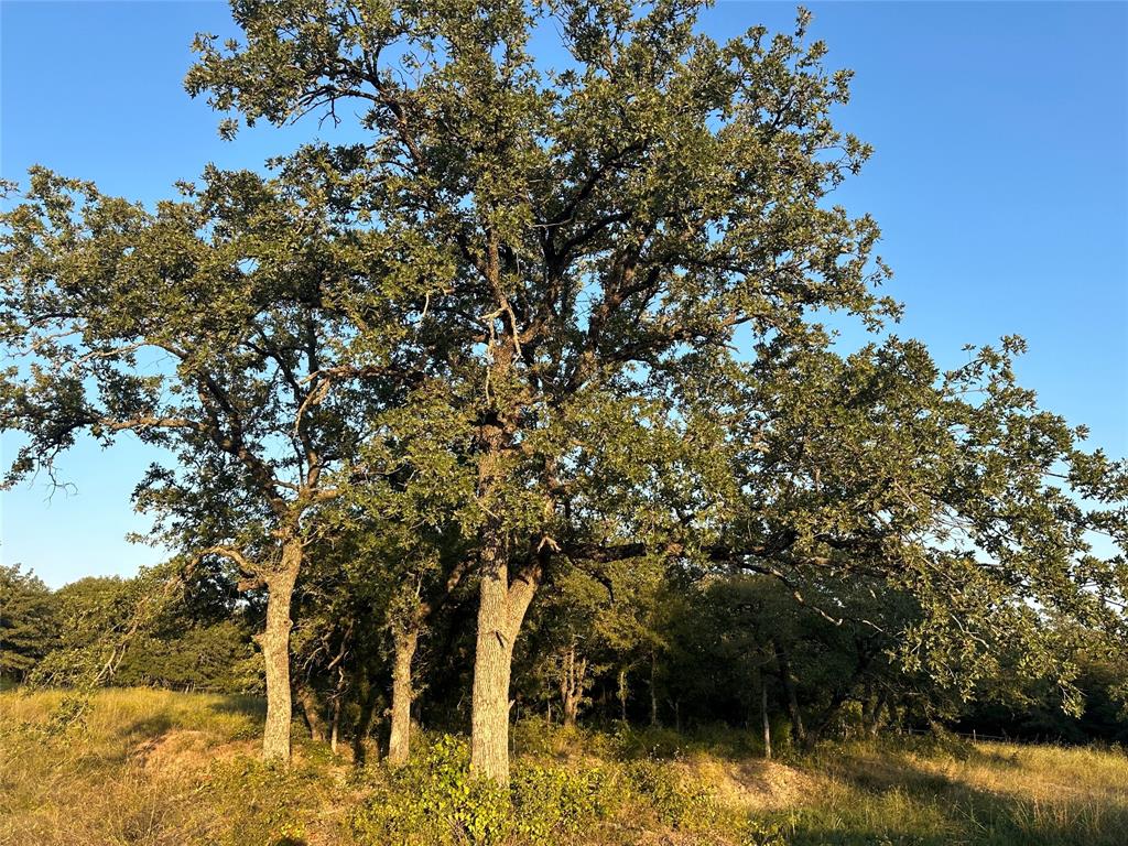 Mesquite Ridge Esates - Land