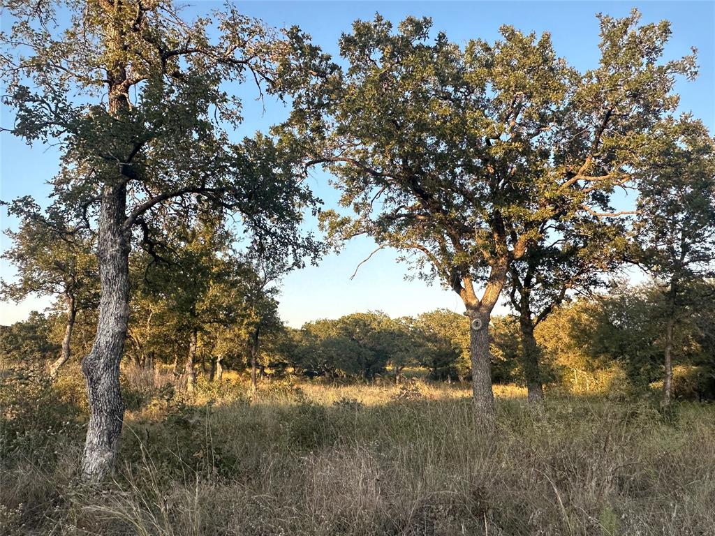 Mesquite Ridge Esates - Land