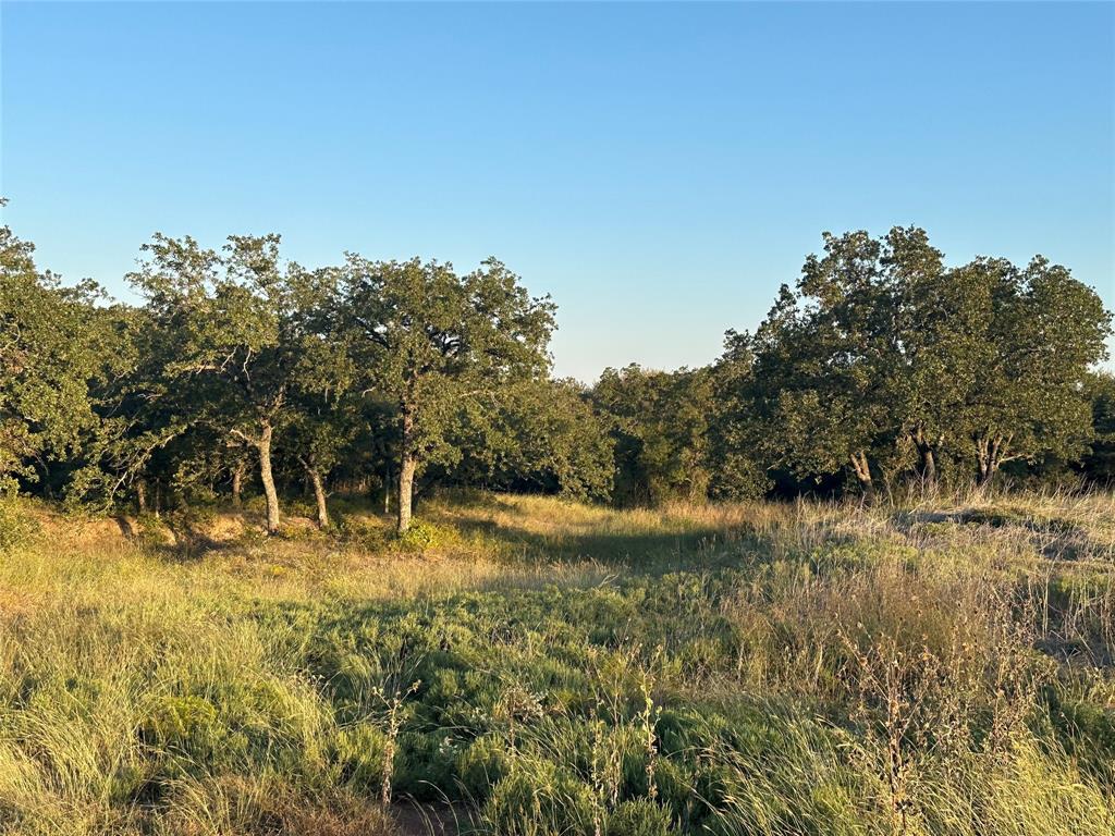 Mesquite Ridge Esates - Land