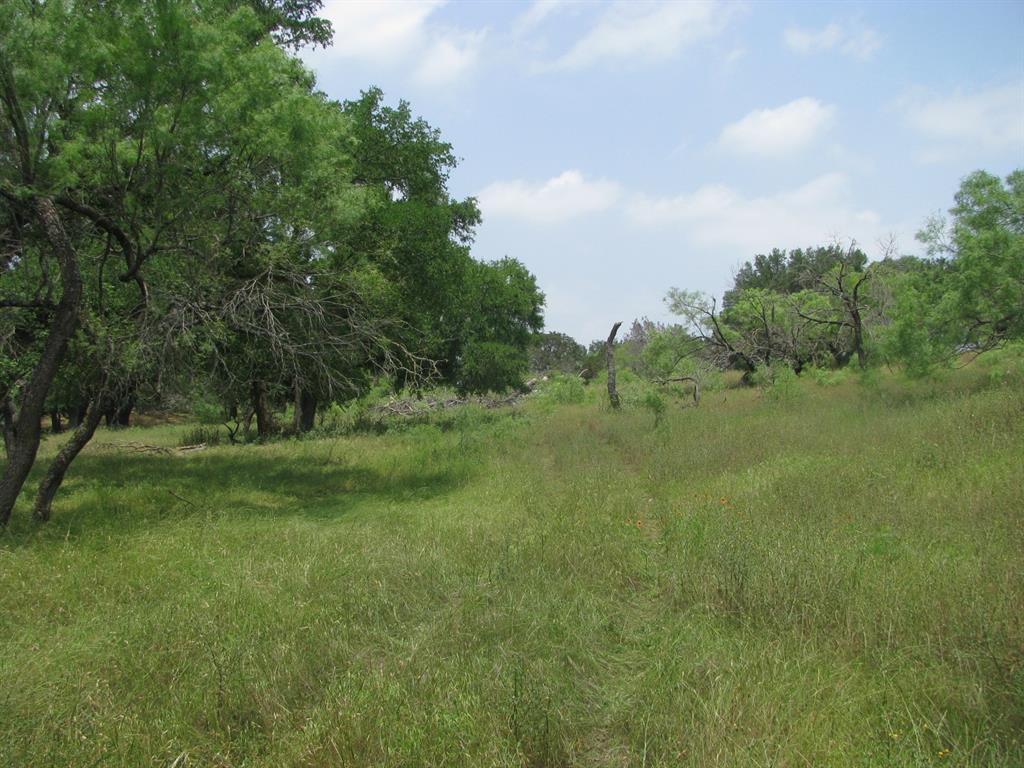 Buffalo Creek Ranch - Land