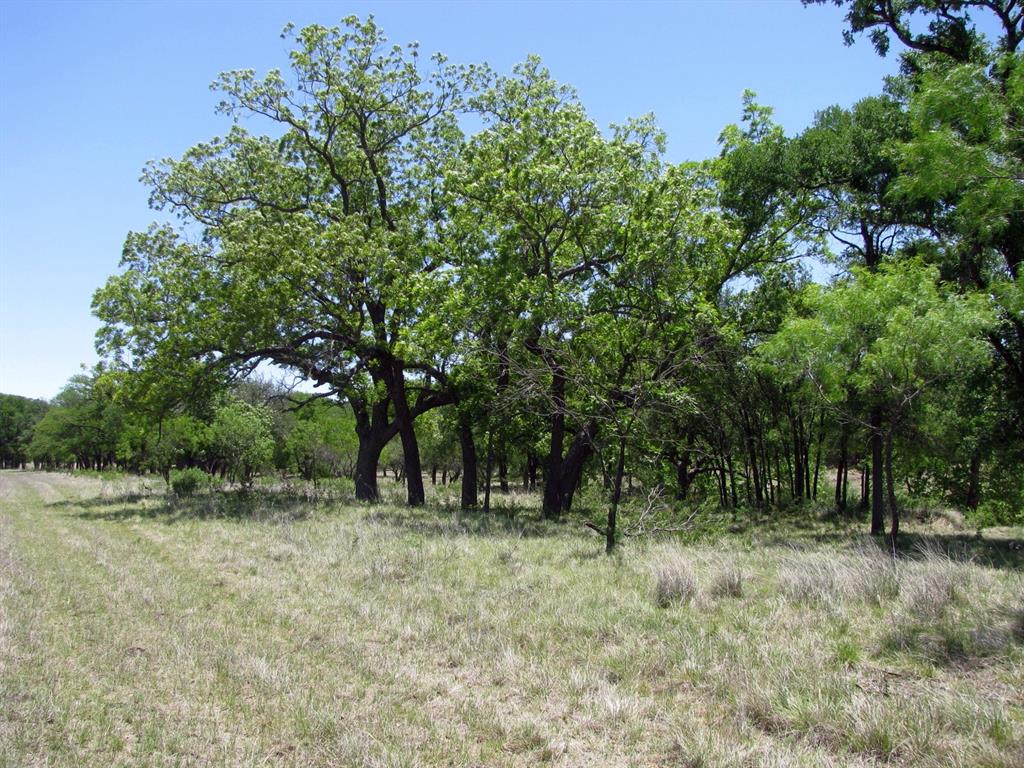 Buffalo Creek Ranch - Land