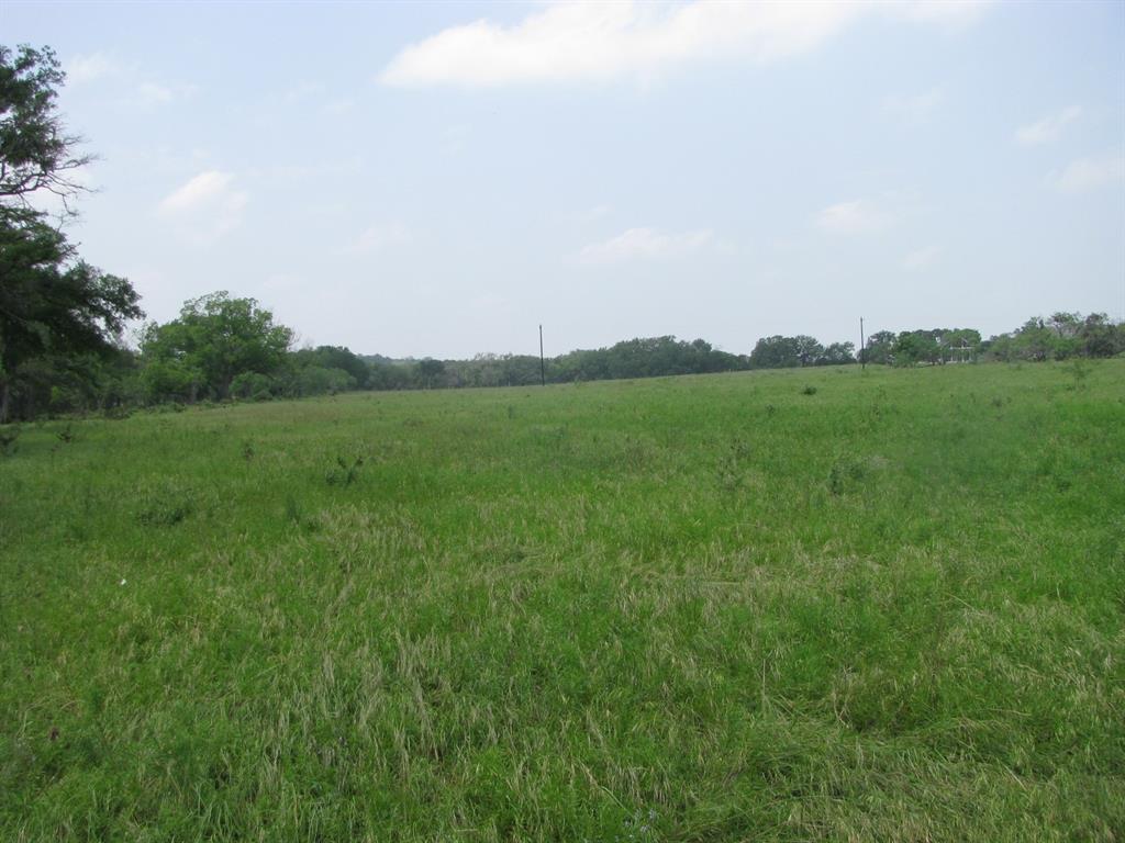 Buffalo Creek Ranch - Land