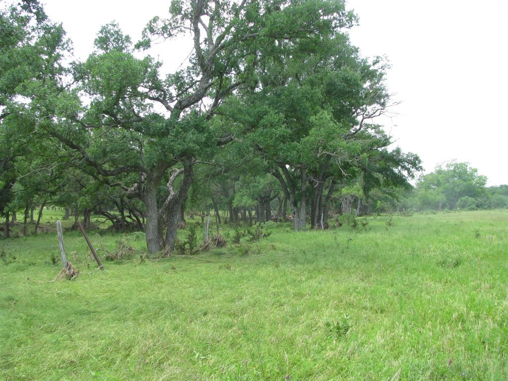 Buffalo Creek Ranch - Land