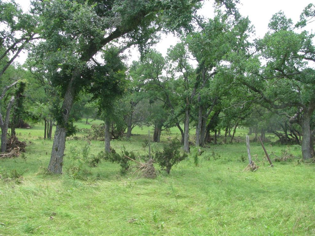 Buffalo Creek Ranch - Land